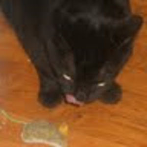 Meet your Posher, Stacy